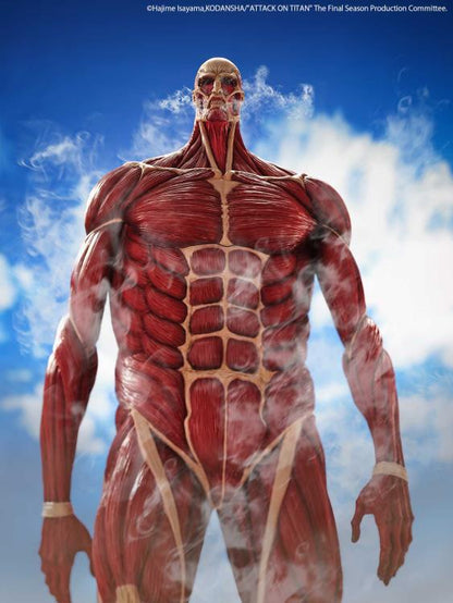 Muscular figure with detailed anatomy against a blue sky background Attack on Titan: Bertholdt Hoover - The Colossal Titan Mega Sofvi Advance MS021 Premium Vinyl Figure by Kaiyodo