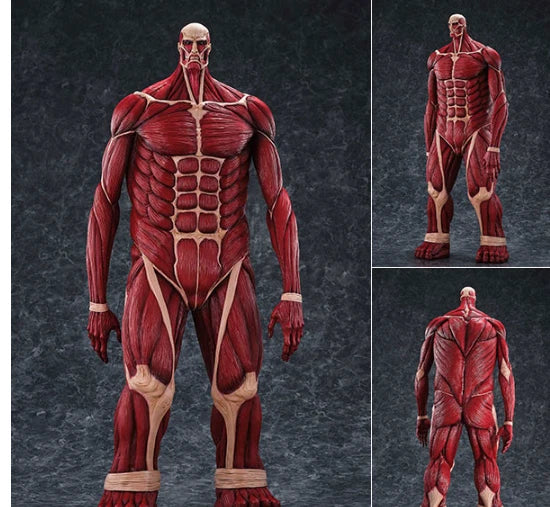 Anatomical model of a human body with visible muscles on a dark background Attack on Titan: Bertholdt Hoover - The Colossal Titan Mega Sofvi Advance MS021 Premium Vinyl Figure by Kaiyodo
