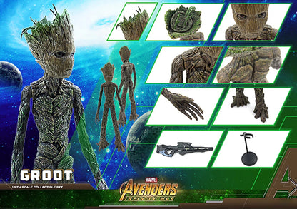Marvel Groot collectible set with various parts on a space-themed background Marvel Guardians of the Galaxy Groot 1/6 Scale Premium Figure by Empire Toys